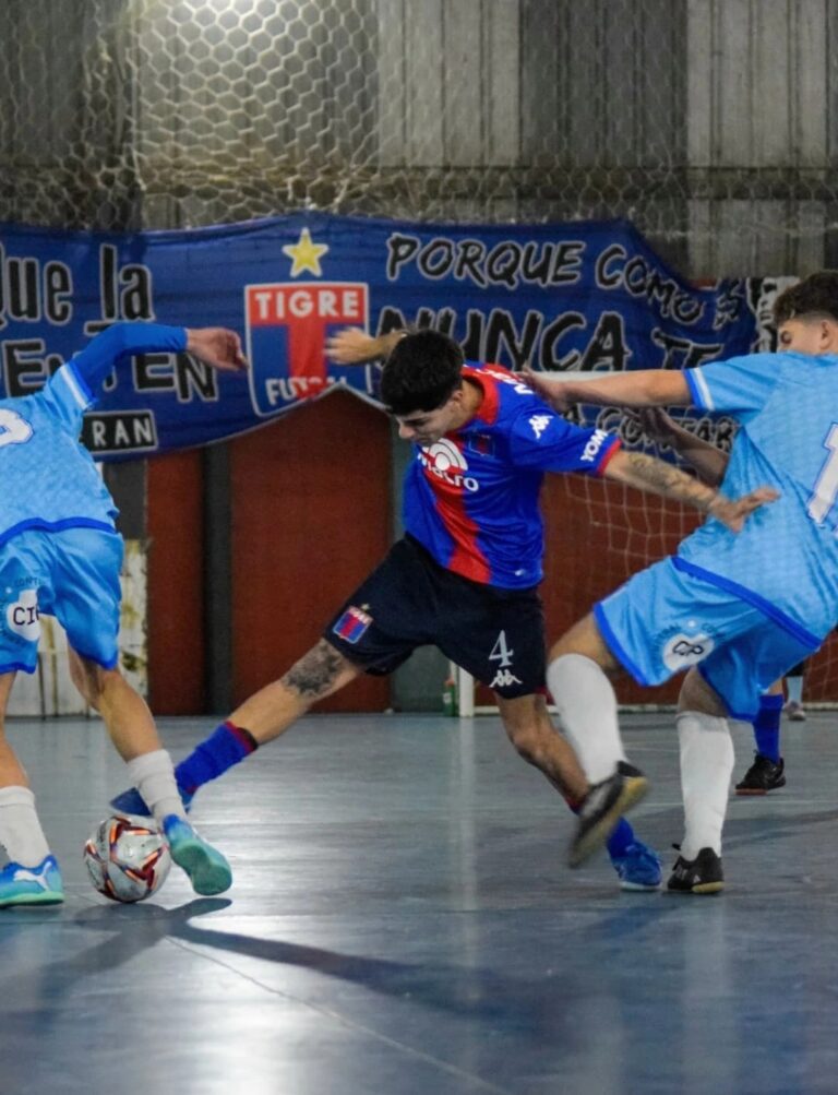 PRÓXIMO PARTIDO: TIGRE VS VILLA PUEYRREDÓN.